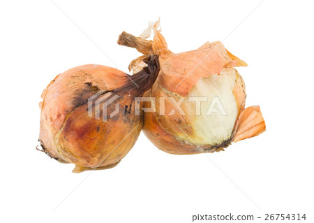 rotten onion isolated on white background rotten onion isolated on white background 26754314