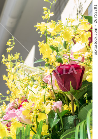 Opening stand flower 26755291