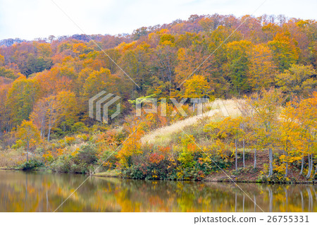 Daieiji Takahara immovable pond Daieiji Takahara immovable pond 26755331