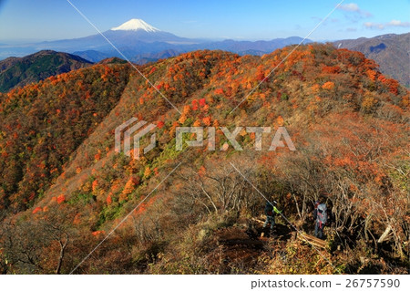 Mountaineer who goes to Tanzawa · Nabe mountain ridge of autumn leaves · Nabe mountain · Mt. Fuji Mountaineer who goes to Tanzawa · Nabe mountain ridge of autumn leaves · Nabe mountain · Mt. Fuji 26757590
