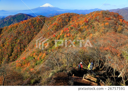 前往丹澤·Nabe山脊的秋葉·Nabe山·富士山的登山者 26757591
