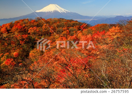 Nabe山和Tanzawa的富士山·秋葉 26757595