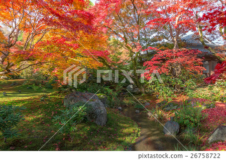 Autumn jokokuin 26758722