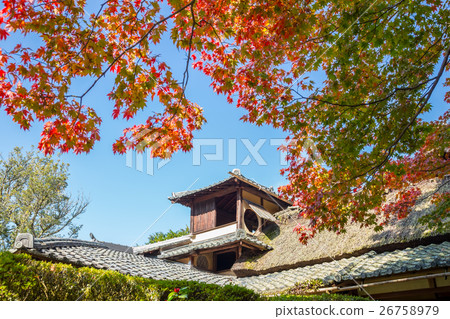 秋天的資生堂 26758979