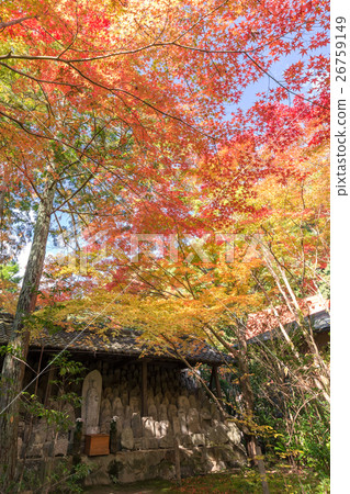 Lotus Temple in autumn 26759149