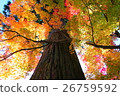 Big tree 26759592