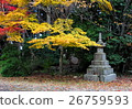 Autumn leaves 26759593