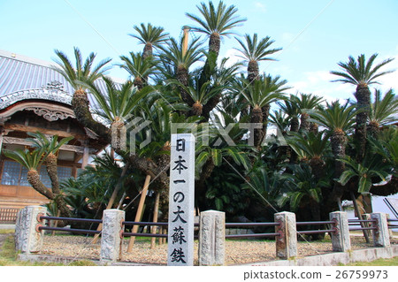 Great Su Rong * Matsuya Temple 26759973