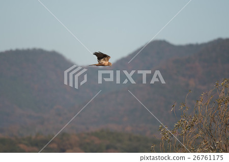 Flying in the San-in · Hii river sky 26761175