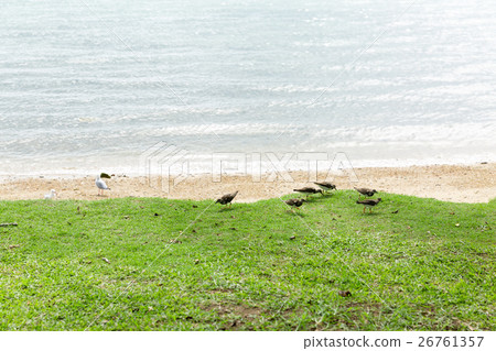 New Caledonia (Noumea) New Caledonia (Noumea) 26761357