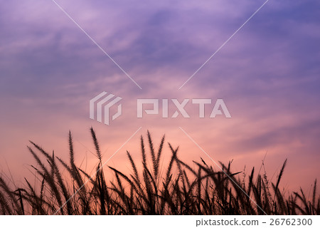 Colorful of evening sky. Colorful of evening sky. 26762300
