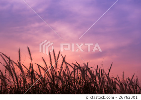 Colorful of evening sky. Colorful of evening sky. 26762301