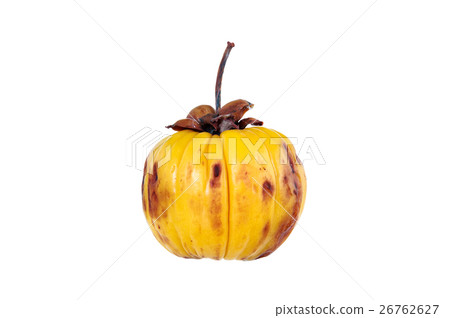 Garcinia cambogia fruit, isolated on white. Garcinia cambogia fruit, isolated on white. 26762627
