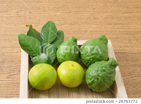 Green Kaffir Lime with Lemon Lime on Tray 26763772