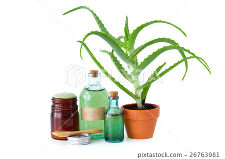 Aloe in pot, aloe vera essence, cream or ointment 26763981