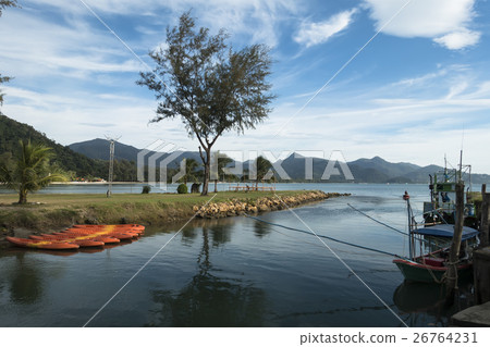 Koh Chang Island Tree 26764231