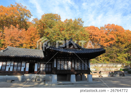 Mitsuike公園韓國庭院秋葉 26764772