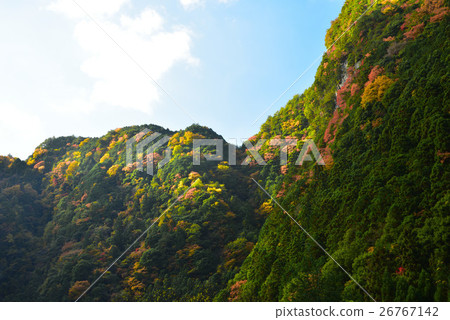 Kagori-gawa's autumn leaves Kagori-gawa's autumn leaves 26767142