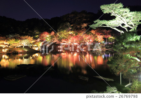 特別景點“Ritsurin公園”點亮秋葉的南湖（楓樹和Kaede岸邊和gooele松樹葉） 26769798