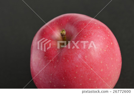 Apple (Mutsu) 26772600