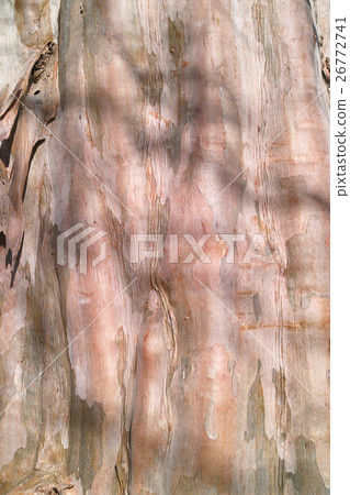 Culverberry skin 26772741