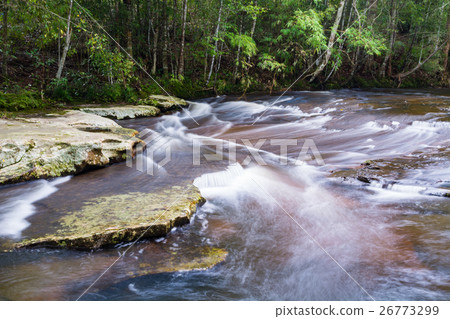 Stream in the tropical forest. Stream in the tropical forest. 26773299