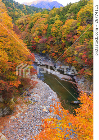 japricot❇︎ページ The autumn leaves of the Kinugawa River from - Stock