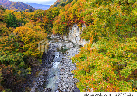 從栃木縣日光市栗山地區開始的鬼怒川的秋葉（11月） 26774123