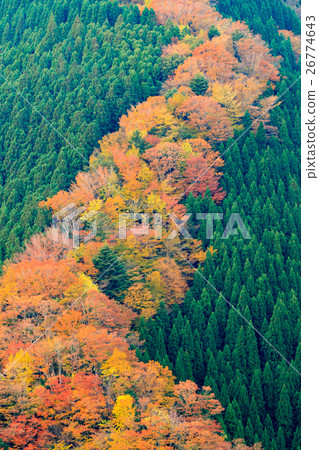 Autumn Namego Valley 26774643