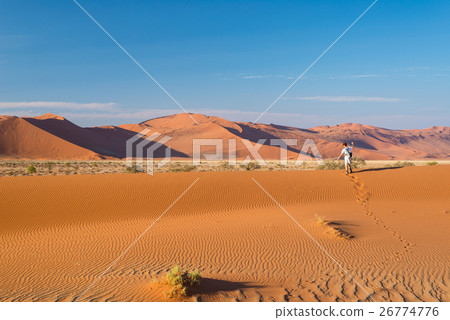 Tourist walking on the scenic dunes of Sossusvlei 26774776