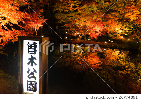 秋葉②,在Sogaki公園 秋葉②,在Sogaki公園 26774861