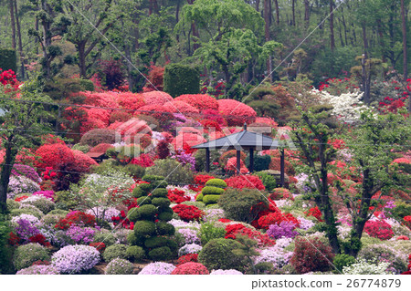 Ogahara Azalea Garden (Sukagawa City) 26774879