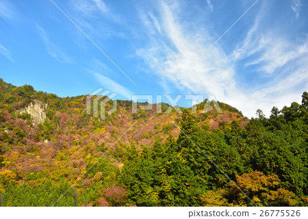 Kagori-gawa's autumn leaves 26775526