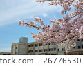 櫻花和學校建設 26776530