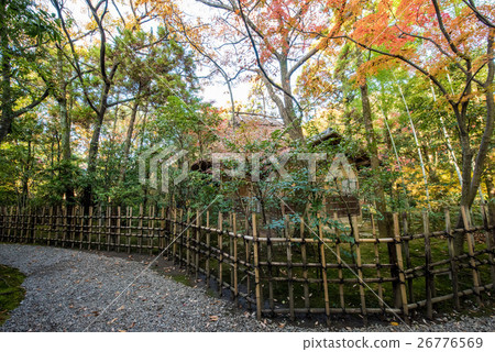 到九州之旅,我將介紹黑田家族Rokuin領主用作別墅的“黑田寺”的風景。 到九州之旅,我將介紹黑田家族Rokuin領主用作別墅的“黑田寺”的風景。 26776569