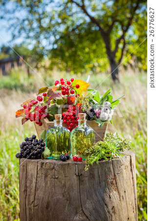 Bottles of tincture, box of healthy herbs 26776627
