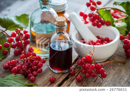 Bottles of arowwood tincture and mortar of berries 26776631