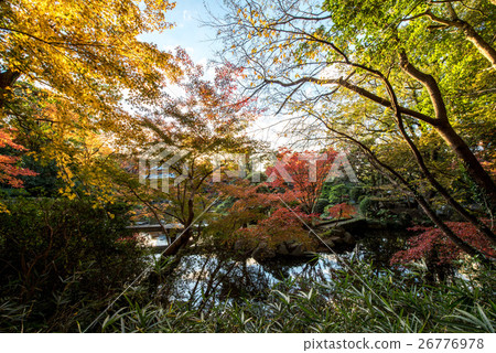 到九州之旅，我將介紹黑田家族Rokuin領主用作別墅的“黑田寺”的風景。 26776978