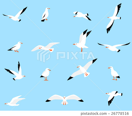 Vector set of beautiful seagulls. 26778516
