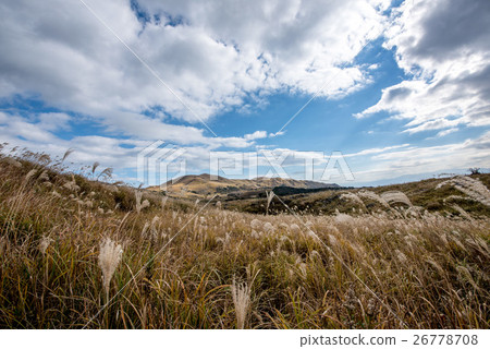 A trip to Kyushu, we will introduce the scenery of "Hiraodai" which is known as the Karst plateau. A trip to Kyushu, we will introduce the scenery of "Hiraodai" which is known as the Karst plateau. 26778708