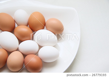 雞蛋 雞蛋 26779193