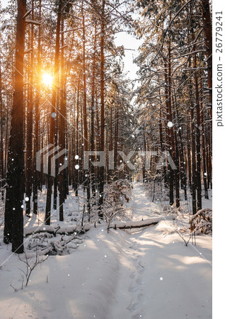 Fantastic landscape glowing by sunlight. Natural 26779241