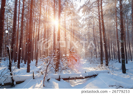 Fantastic landscape glowing by sunlight. Natural 26779253