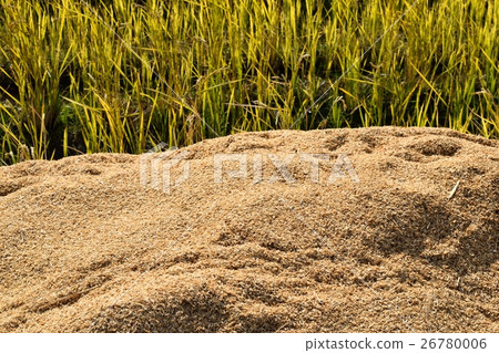 Rice hull 26780006