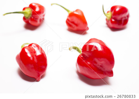 White back habanero nuts White back habanero nuts 26780833