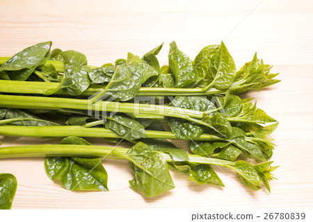 Tsurumurasaki on a wooden plate 26780839