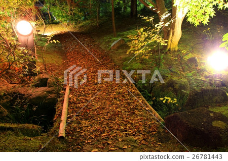 Keihanna國家紀念公園照亮 Keihanna國家紀念公園照亮 26781443