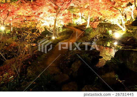 Keihanna國家紀念公園照亮 26781445