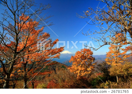 Tanzawa·Nabe山秋葉和富士山的山頂 26781765