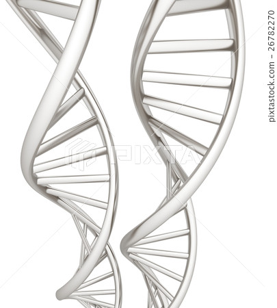 DNA structure model. 3d illustration DNA structure model. 3d illustration 26782270